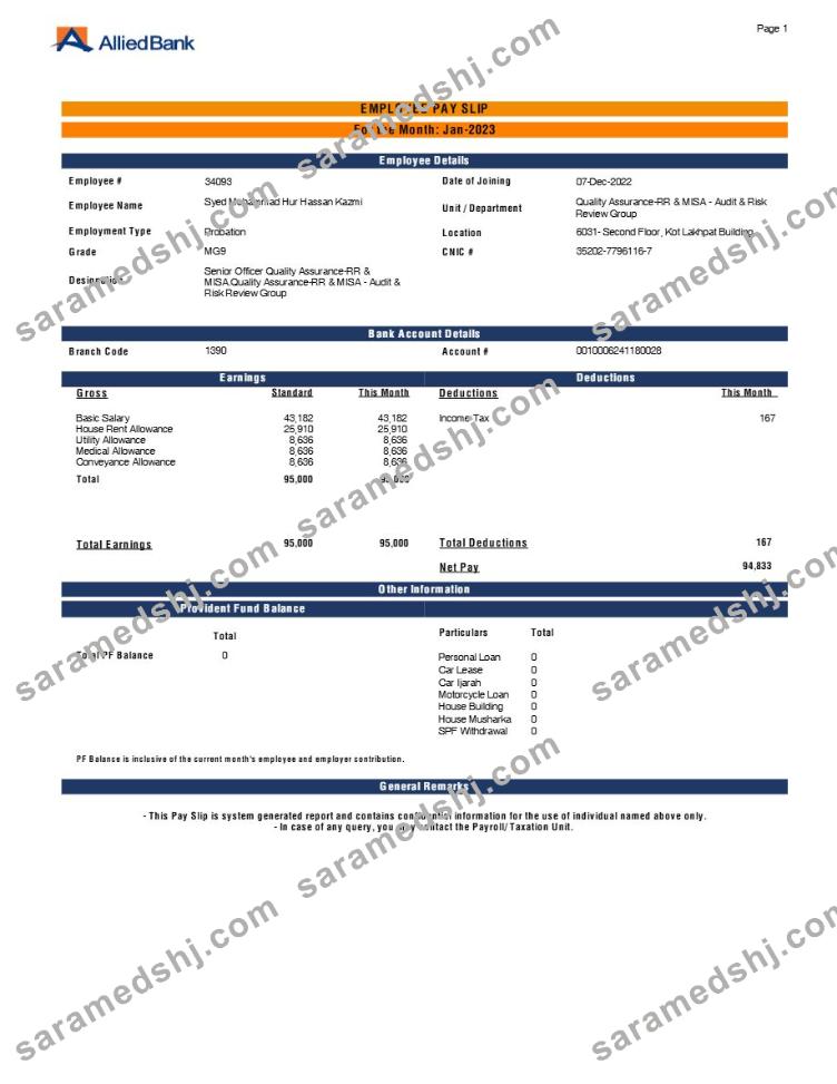 Allied Bank employee payslip template in Word and PDF formats.pdf, 1
